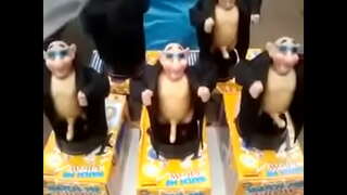 Обезьяний пенос