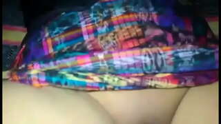 Hermosa Chapina दिखा बिल्ली