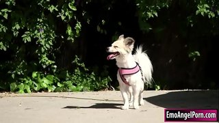 Petite pictus parvulus, invenit eam canis vicini eius proprietas.Eius proximum vult praemium,non aufero vestimenta sua, et illa tunc iugula vicinis bigcock.In reditu eius proximum futuit eius pussy et asinum in altum, et dura donec cums in eam.