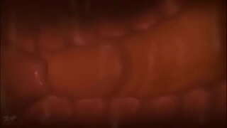 Cumming inside the womb